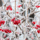 30 EUROPEAN CRANBERRY / SNOWBALL Tree Guelder Rose Viburnum Opulus Red Fruit White Flower Seeds