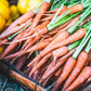 1500 LITTLE FINGERS CARROT Daucus Carota Vegetable Seeds