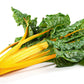 40 YELLOW CANARY SWISS CHARD Beta Vulgaris Perpetual Spinach Vegetable Seeds