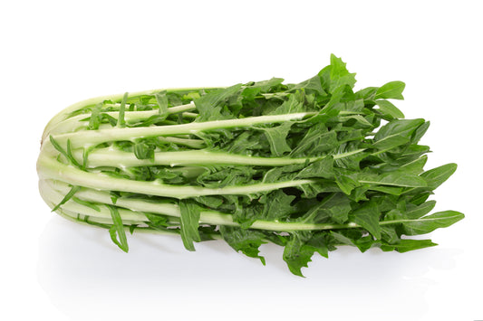 800 EMERALD CATALOGNA ENDIVE Italian Chicory Cichorium Endivia Seeds