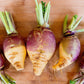 1500 American PURPLE TOP RUTABAGA Brassica Napus Root Vegetable & Greens Seeds