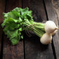 500 Hailstone WHITE GLOBE RADISH Raphanus Sativus Vegetable Seeds