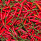 300 THIN CAYENNE PEPPER Hot Chili Long Green Red Slim Capsicum Vegetable Seeds