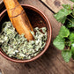 200 STINGING NETTLE Urtica Dioica (aka Common, California, or Bull Nettle / Tread Softly) Flower Seeds