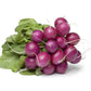 300 PURPLE PLUM RADISH Raphanus Sativus White Flesh Root Vegetable Seeds