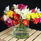 5 ROYAL CHAMPION Mix FREESIA Mixed Colors Pink Blue Purple Yellow Red Orange Flower Seeds
