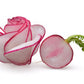 2000 CRIMSON GIANT RADISH Raphanus Sativus Vegetable Seeds