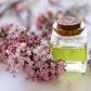 250 VALERIAN (Garden Heliotrope / Heal All) Valeriana Officinalis Herb Flower Seeds