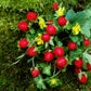 50 Edible Red MOCK STRAWBERRY Potentilla Indica Duchesnea Fruit Berry Seeds