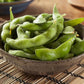 20 Buttery Edamame TOHYA SOYBEAN Pale Green Glycine Max Soy Bean Vegetable Seeds