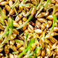 100 Common BARLEY Hordeum Vulgare Grain Grass Cover Crop Beer Seeds