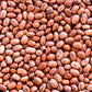 50 PINTO BEAN Phaseolus Vulgaris Vegetable Seeds