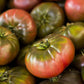 100 Organic PURPLE CHEROKEE TOMATO Lycopersicon Lycopersicum Fruit Vegetable Seeds