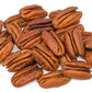 5 HARDY PECAN Tree Carya Illinoinensis King Nut Native Fruit Tree Seeds