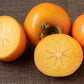 5 JAPANESE PERSIMMON Tree Asian Diospyros Kaki Orange Red Fruit Flower Seeds