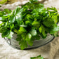 1500 FLAT LEAF PARSLEY Seeds Petroselinum Crispum Plain Single Italian Parsley Seeds