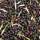10 CANINO OLIVE TREE Olea Europaea Canino Edible European Common Green Black Fruit Seed