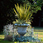 10 Variegated NEW ZEALAND FLAX Phormium Tenax Variegatum Ornamental Grass Flower Seeds