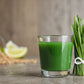 500 Organic CAT GRASS WHEAT Grass Pet Grass Wheatgrass Catgrass Triticum Aestivum Seeds