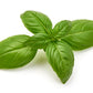 1500 SWEET BASIL Ocimum Basilicum Herb White Flower Seeds