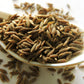 500 Organic CUMIN Cuminum Cyminum Herb Flower Seeds