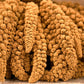 100 FOXTAIL MILLET Setaria Italica Ornamental Grass Flower Seeds