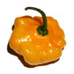 40 Yellow JAMAICAN HOT PEPPER Capsicum Chinense Scotch Bonnet Vegetable Seeds
