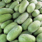 50 CHARLESTON GRAY WATERMELON Citrullus Lanatus Red Fruit Melon Seeds