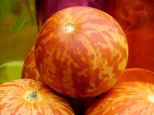 15 TIGGER / TIGER MELON Edible Muskmelon & Ornamental Vine Cucumis Melo Seeds