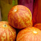 15 TIGGER / TIGER MELON Edible Muskmelon & Ornamental Vine Cucumis Melo Seeds