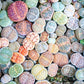 10 LIVING STONE / LITHOPS Mixed Colors Pebble Houseplant Flower Seeds