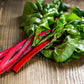 300 RHUBARB RED SWISS CHARD Perpetual Spinach Beta Vulgaris Vegetable Seeds