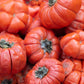 25 RUFFLED RED EGGPLANT Pumpkin On A Stick Edible & Ornamental Solanum Melongena Seeds