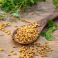 300 FENUGREEK Trigonella Foenum Graecum Herb Flower Seeds