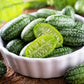 10 CUCAMELON Melothria Scabra Mouse Melon Mexican Gherkin Mini Watermelon Cucumber Fruit Vine Seeds
