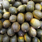50 PIEL de SAPO MELON Santa Claus Christmas Melon Green Yellow Cucumis Melo Fruit Seeds