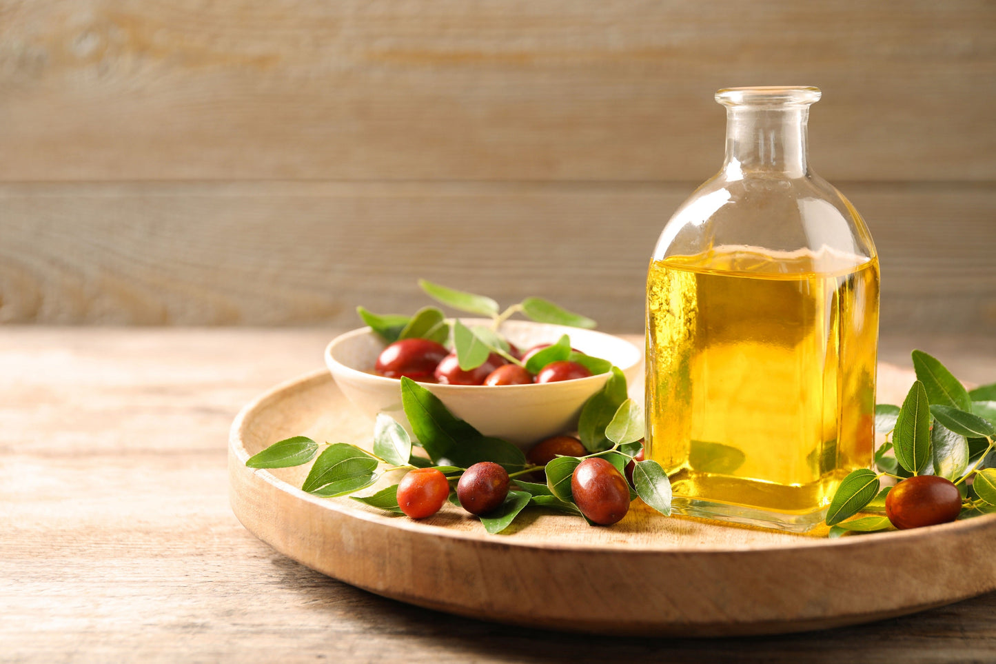 5 JOJOBA Simmondsia Chinensis Fruit Nut Oil Evergreen Shrub Seeds