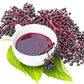 25 American ELDERBERRY FRUIT BUSH Shrub Tree Sambucus Nigra Canadensis Seeds