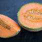 100 Minnesota MIDGET CANTALOUPE MELON Cucumis Melo Reticulatus Fruit Seeds