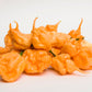 10 Peach CAROLINA REAPER PEPPER World's Hottest Capsicum Chinense Hot Chili Vegetable Seeds