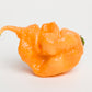 10 Peach CAROLINA REAPER PEPPER World's Hottest Capsicum Chinense Hot Chili Vegetable Seeds