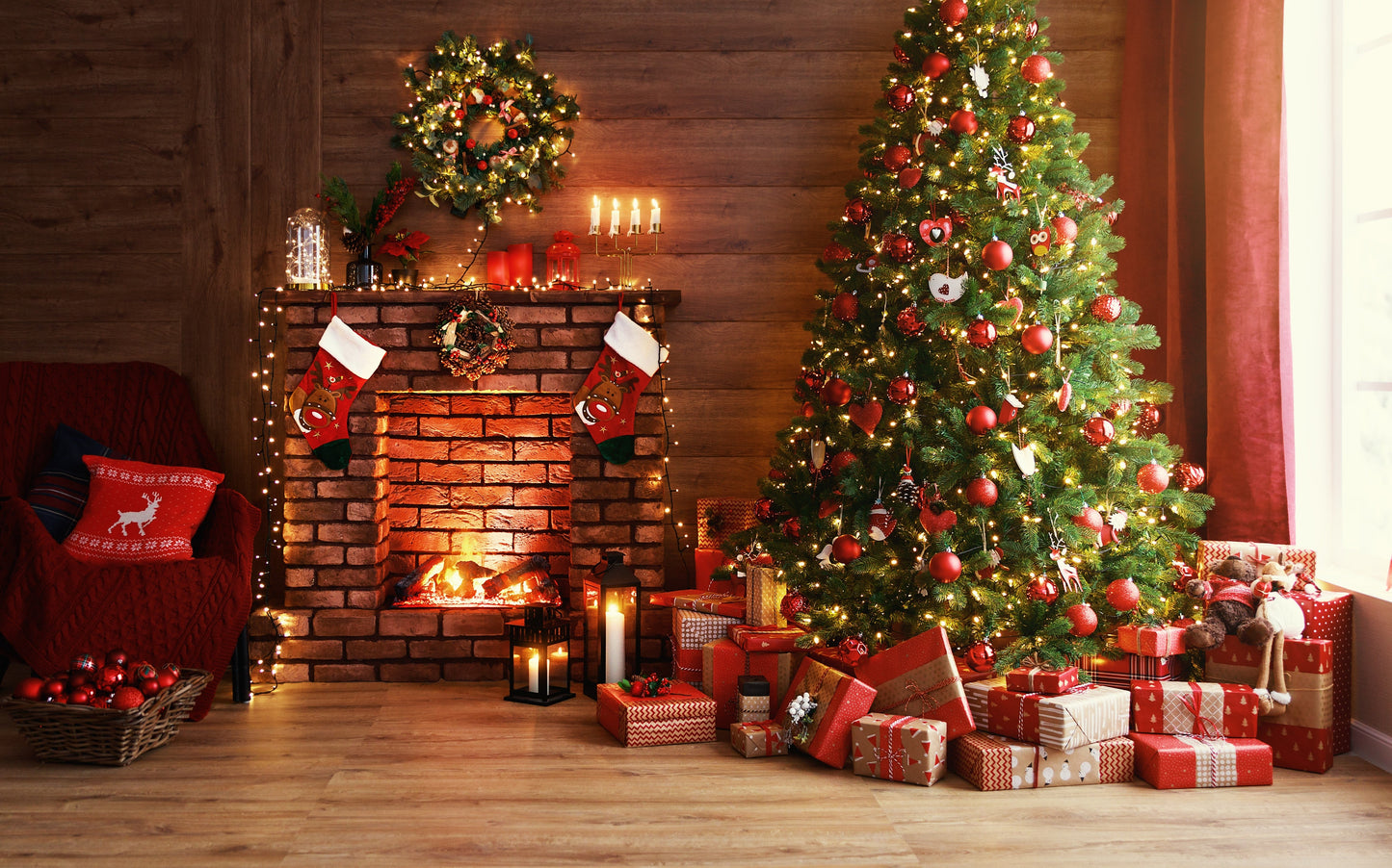 Grow Your Own CHRISTMAS TREE COLLECTION - 4 Gift Packets of Tree Seeds - Fraser Fir, Balsam Fir, Douglas Fir, & Blue Spruce + Free Gift Bag