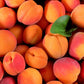 5 MANCHURIAN APRICOT Fruit Tree Flowering Prunus Mandshurica Seeds