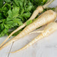1000 HAMBURG ROOTED PARSLEY Petroselinum Crispum Tuberosum Root Vegetable Seeds