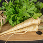 1000 HAMBURG ROOTED PARSLEY Petroselinum Crispum Tuberosum Root Vegetable Seeds