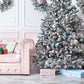 50 Colorado BLUE SPRUCE Tree Picea Pungens Glauca Christmas Tree White Silver Spruce Evergreen Seeds
