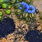 150 NIGELLA Sativa BLACK CUMIN Spice Black Caraway Fennel Flower Herb Seeds