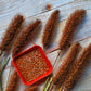 25 RED JEWEL MILLET Setaria Italica Ornamental Grass Flower Seeds