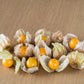 200 Organic GROUND CHERRY Physalis Pruinosa ( Golden Strawberry / Chinese Lantern ) Vegetable Seeds