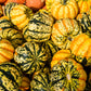 15 CARNIVAL SQUASH Winter Cucurbita Pepo Vegetable Seeds
